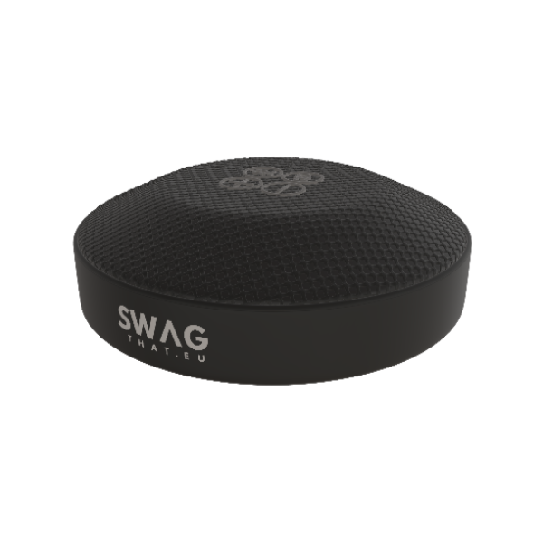 Hybrid conference speaker